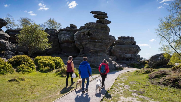 Three visitors walking dogs at Brimham Rocks in the sunshine, Yorkshire